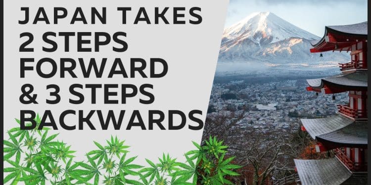 Japan’s New Cannabis Laws: A Game-Changer?