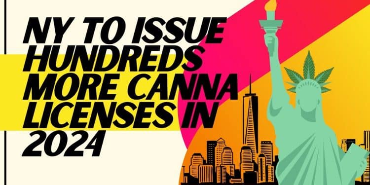 New York’s Cannabis Control Board: Luck of the Draw