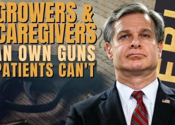 The Hidden Link Between Cannabis and Gun Ownership Rights