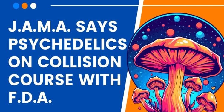 From Cannabis to Psychedelics: FDA’s Double Standard