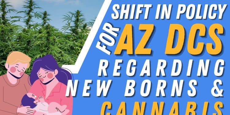 Arizona Ends Cannabis Investigation on Newborns!
