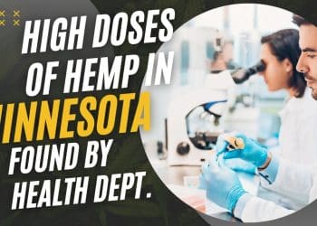 Breaking News: High-Dose THC Products Flood Minnesota