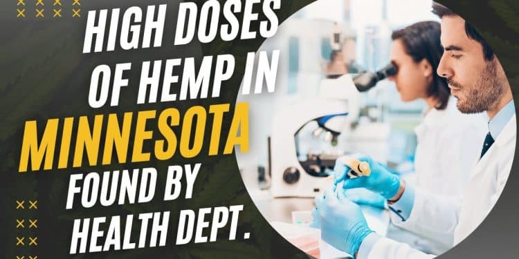 Breaking News: High-Dose THC Products Flood Minnesota