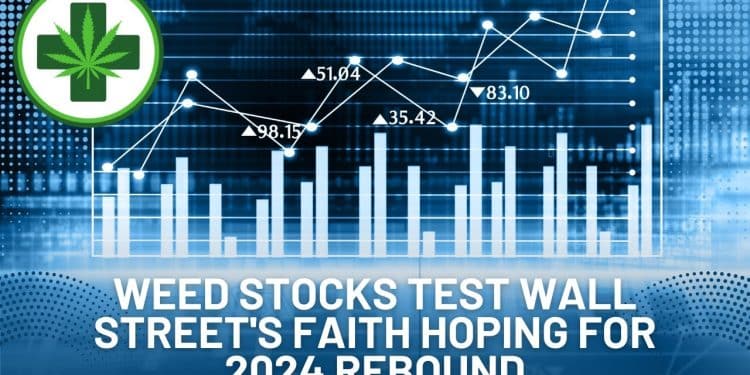 Will Floundering Weed Stocks Break Wall Street’s Confidence in the 2024 Rebound?