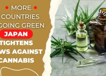 Tokyo High or Tokyo Low? Japan Stays Grounded as Global Cannabis Wave Grows