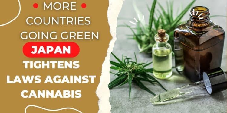 Tokyo High or Tokyo Low? Japan Stays Grounded as Global Cannabis Wave Grows