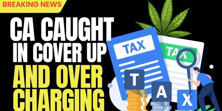 CA’s Shocking Cover-Up: Tax Overcharging Scandal Exposed!
