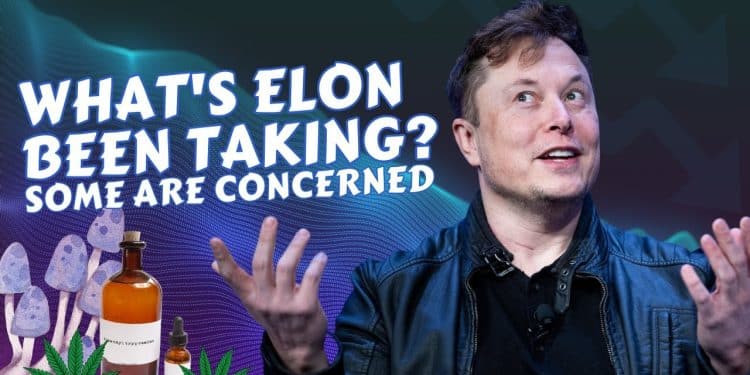 Concerns Over Elon Musk’s Drug Use: What Leaders at Tesla and SpaceX Discovered