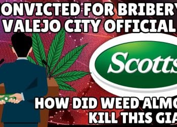 Investing In Cannabis Almost Took Down Scotts Miracle-Gro | Bribes to Vallejo city official