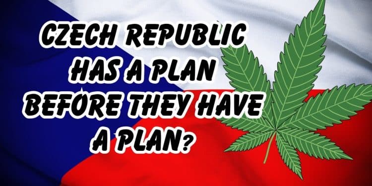 Uncovering Czech Republic’s Bold Move: Cannabis Legalization Plan Sans Legal Market