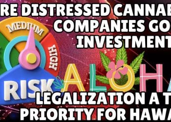 Cannabis Companies in Receivership Good Opportunity or Steep Risk?