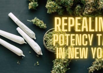 Hochul’s Secret Plan to Eliminate Marijuana ‘Potency Tax’