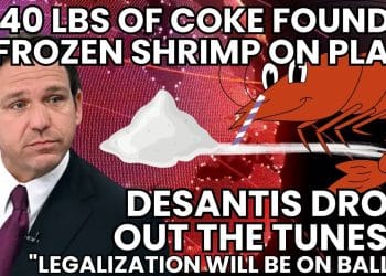 Homegrown pot plants may soon be legal in N.Y. | DeSantis: Marijuana Legalization On FL Ballot