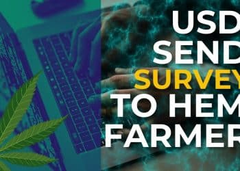 Insightful USDA Surveys Shed Light on Hemp Industry