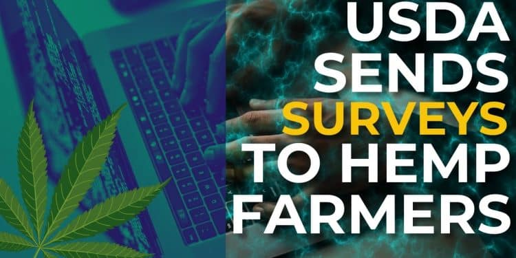 Insightful USDA Surveys Shed Light on Hemp Industry