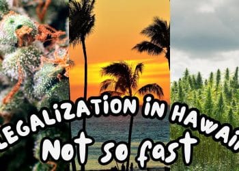 The Shocking Truth Behind Hawaii’s Marijuana Legalization Bill