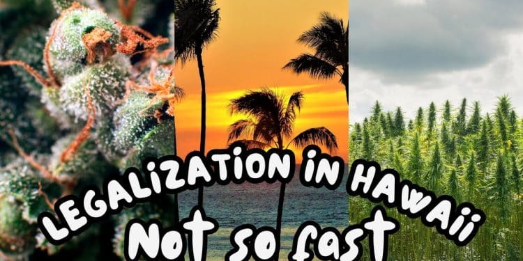 The Shocking Truth Behind Hawaii’s Marijuana Legalization Bill