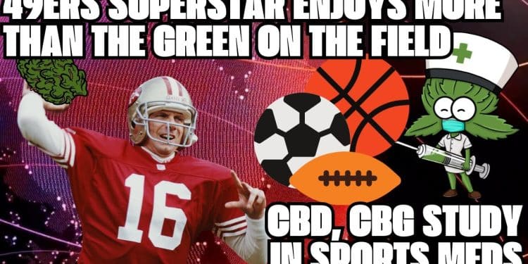 49ers legend Joe Montana is winning the California legal weed market