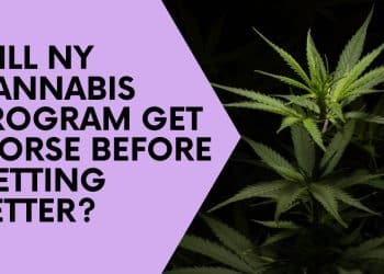 Why New York’s Marijuana Licensing Process Faces Ongoing Legal Battles