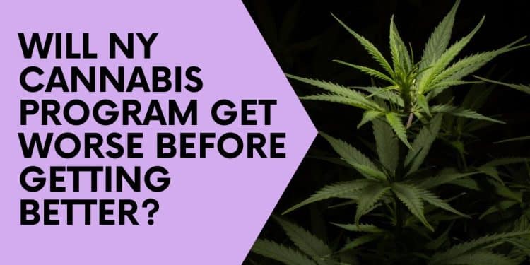 Why New York’s Marijuana Licensing Process Faces Ongoing Legal Battles