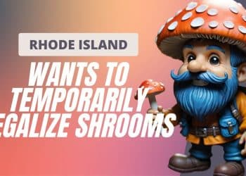 Psilocybin Breakthrough: Rhode Island’s Bold Move Towards Legalization