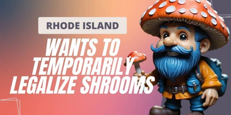 Psilocybin Breakthrough: Rhode Island’s Bold Move Towards Legalization