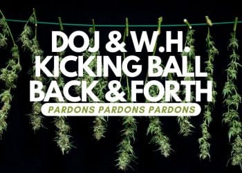 DOJ’s Secret Request: White House Approval for New Marijuana Pardon Form