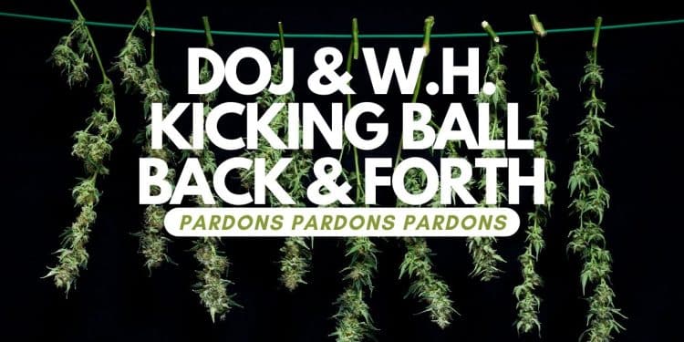 DOJ’s Secret Request: White House Approval for New Marijuana Pardon Form