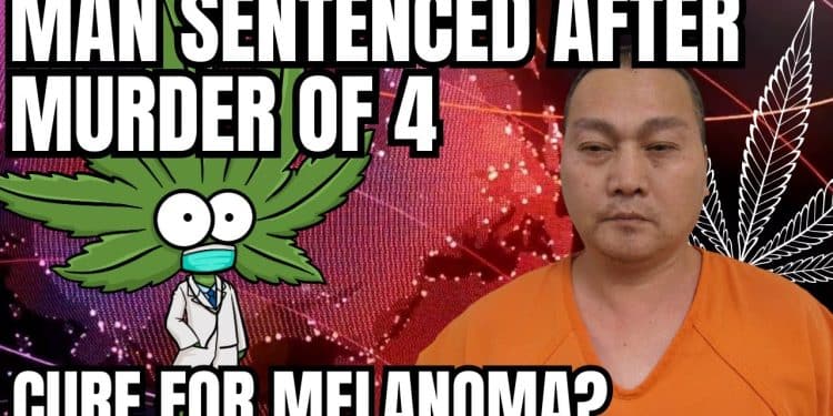 Man accused of murdering 4 at illegal medical marijuana farm sentenced to life in prison