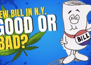 Unlocking Access: New York’s Game-Changing Cannabis Legislation