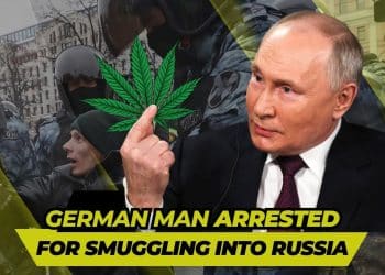 Fearful Encounter: Man Detained in Russia for Smuggling in Cannabis Gummies