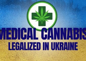 Breaking News: Cannabis Now Legal for Medical Purposes in Ukraine