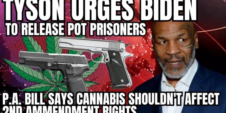 Mike Tyson urges Biden to free thousands locked up over cannabis: ‘Right these wrongs’