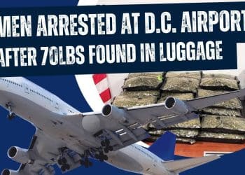 Smuggling Drama: Over 70 Pounds of Marijuana Seized
