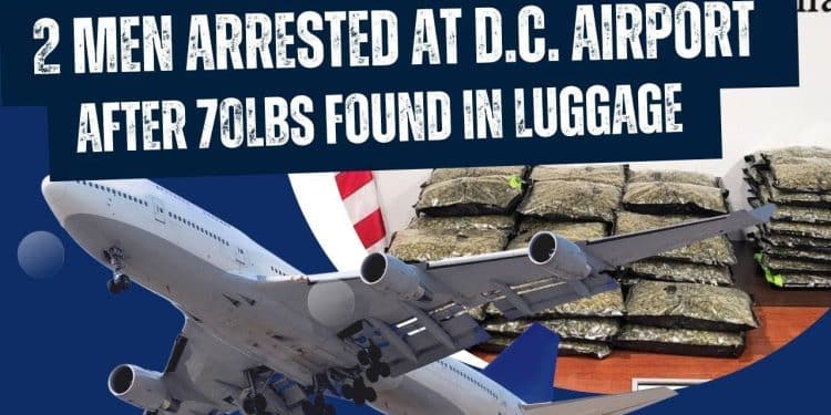 Smuggling Drama: Over 70 Pounds of Marijuana Seized