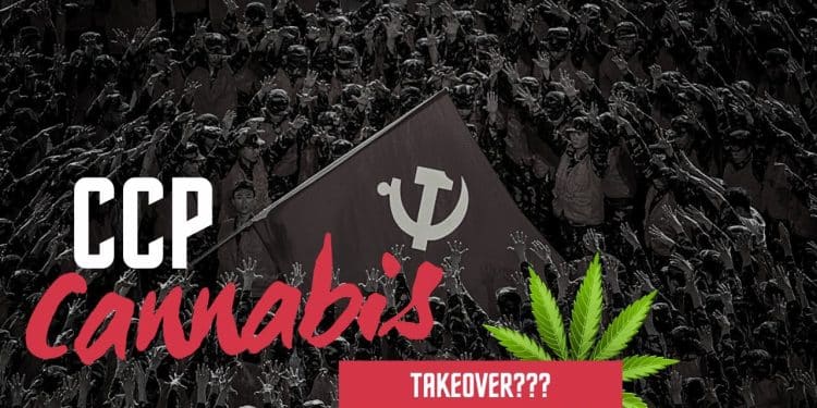 Alarming: Chinese Gangs Control US Weed Market, CCP Involved