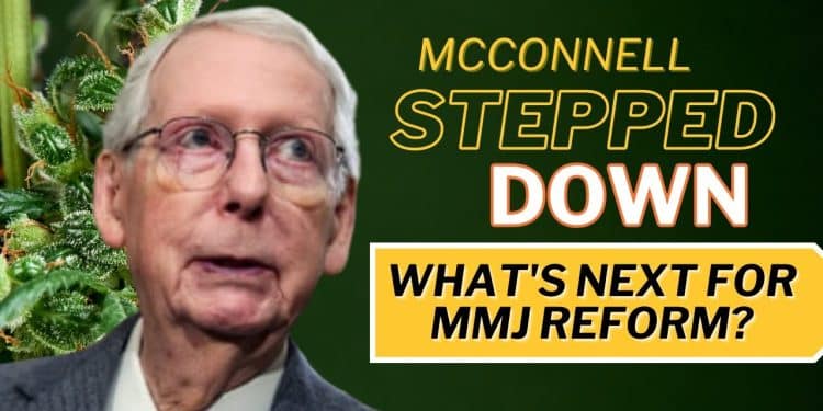 Uncertain Future: How Mitch McConnell’s Replacement Affects Marijuana
