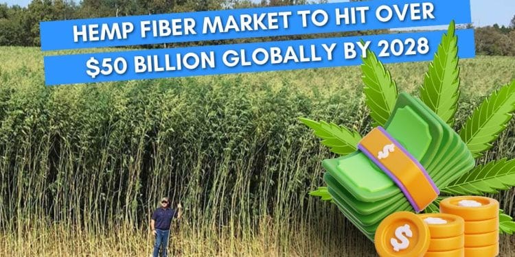 Expert Analysis: Hemp Fiber Market Soars to $50B by 2028