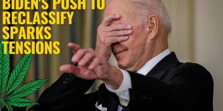 Fear and Desire Clash: Biden’s Move on Marijuana Sparks Controversy