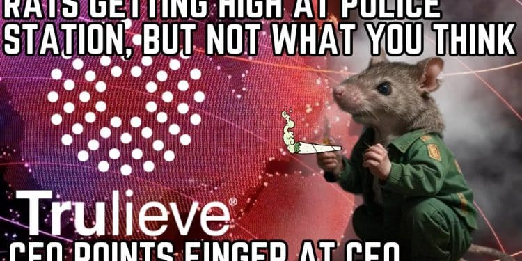 Rats are high on marijuana evidence at an infested police building, New Orleans chief says