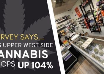 Fearless Growth: 104% Surge in Black Market Weed Shops