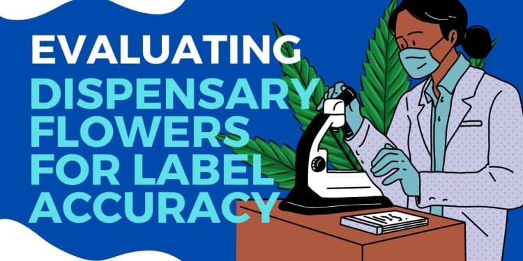 Warning: The hidden dangers of mislabeled cannabis