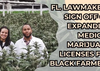 Inclusive decision: More medical marijuana licenses for Black farmers