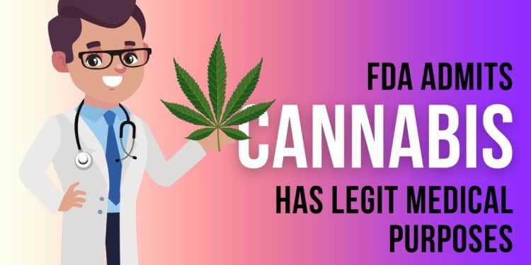 FDA’s Surprising Endorsement of Marijuana’s Healing Benefits