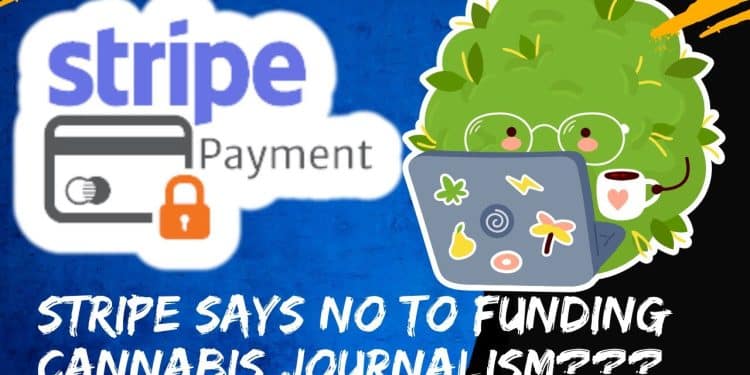 Cannabis Journalism Funding Reversal Drama