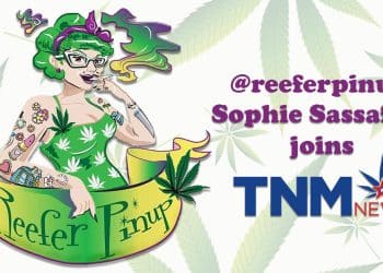 Have You Met Sophie Sassafras?