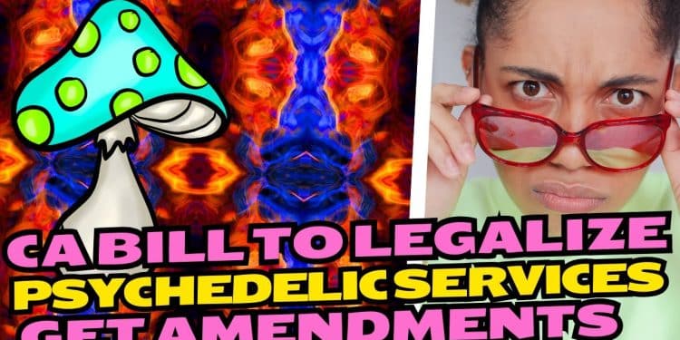 Psychedelic Services Bill in California Faces Amendments Before Vote