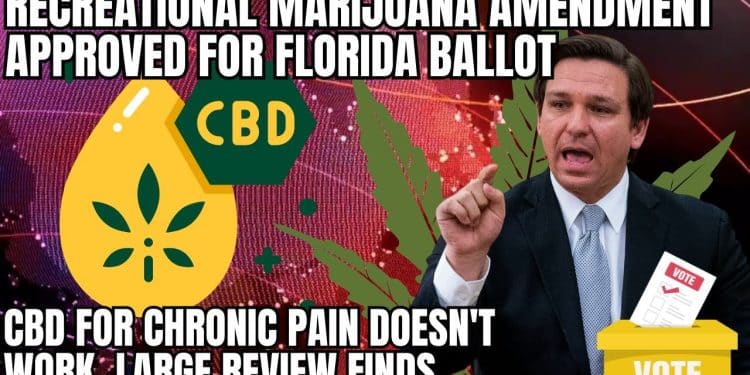 Recreational marijuana amendment approved for Florida ballot | TNMNews.com