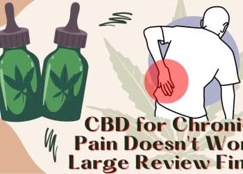 Expert Review: CBD Disappoints in Chronic Pain