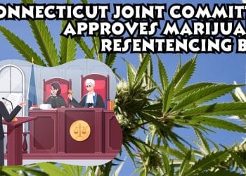 Urgent: Inmates to be Released in Connecticut for Marijuana